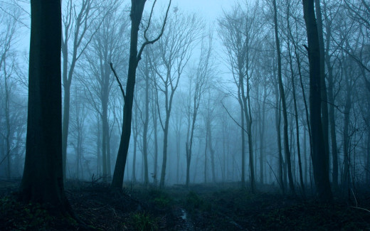 1753536 (a): :1920x1200